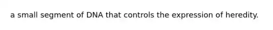 a small segment of DNA that controls the expression of heredity.