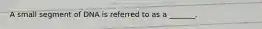 A small segment of DNA is referred to as a _______.