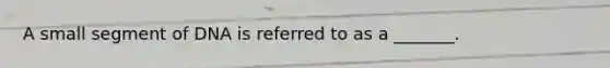 A small segment of DNA is referred to as a _______.