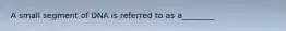 A small segment of DNA is referred to as a________