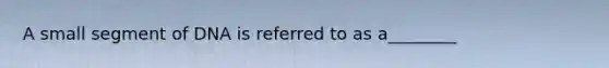 A small segment of DNA is referred to as a________