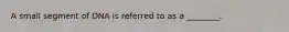 A small segment of DNA is referred to as a ________.