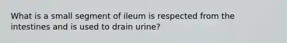 What is a small segment of ileum is respected from the intestines and is used to drain urine?