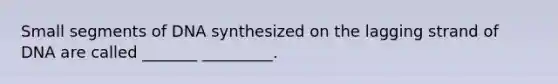 Small segments of DNA synthesized on the lagging strand of DNA are called _______ _________.