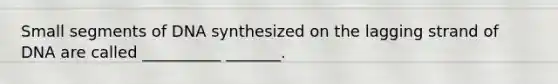 Small segments of DNA synthesized on the lagging strand of DNA are called __________ _______.