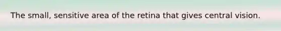 The small, sensitive area of the retina that gives central vision.