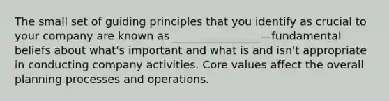 The small set of guiding principles that you identify as crucial to your company are known as ________________—fundamental beliefs about what's important and what is and isn't appropriate in conducting company activities. Core values affect the overall planning processes and operations.