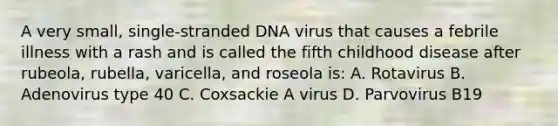 A very small, single-stranded DNA virus that causes a febrile illness with a rash and is called the fifth childhood disease after rubeola, rubella, varicella, and roseola is: A. Rotavirus B. Adenovirus type 40 C. Coxsackie A virus D. Parvovirus B19