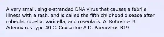 A very small, single-stranded DNA virus that causes a febrile illness with a rash, and is called the fifth childhood disease after rubeola, rubella, varicella, and roseola is: A. Rotavirus B. Adenovirus type 40 C. Coxsackie A D. Parvovirus B19