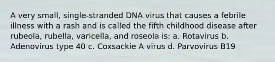 A very small, single-stranded DNA virus that causes a febrile illness with a rash and is called the fifth childhood disease after rubeola, rubella, varicella, and roseola is: a. Rotavirus b. Adenovirus type 40 c. Coxsackie A virus d. Parvovirus B19