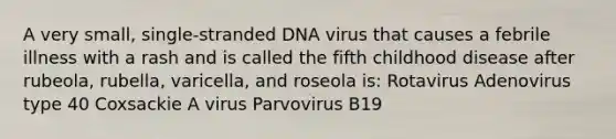 A very small, single-stranded DNA virus that causes a febrile illness with a rash and is called the fifth childhood disease after rubeola, rubella, varicella, and roseola is: Rotavirus Adenovirus type 40 Coxsackie A virus Parvovirus B19