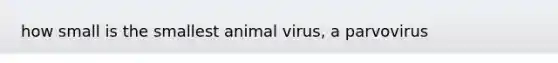 how small is the smallest animal virus, a parvovirus