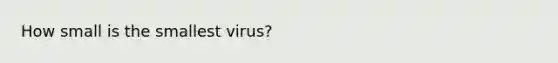 How small is the smallest virus?