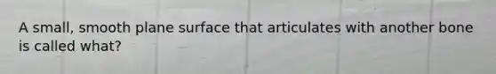 A small, smooth plane surface that articulates with another bone is called what?