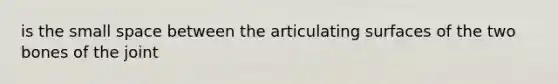 is the small space between the articulating surfaces of the two bones of the joint