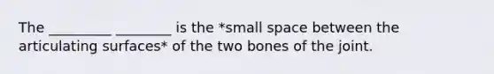 The _________ ________ is the *small space between the articulating surfaces* of the two bones of the joint.