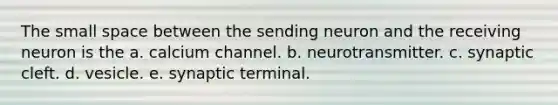 The small space between the sending neuron and the receiving neuron is the a. calcium channel. b. neurotransmitter. c. synaptic cleft. d. vesicle. e. synaptic terminal.