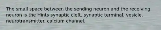 The small space between the sending neuron and the receiving neuron is the Hints synaptic cleft. synaptic terminal. vesicle. neurotransmitter. calcium channel.