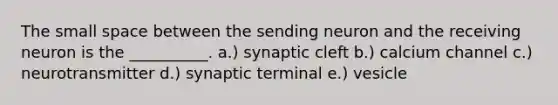 The small space between the sending neuron and the receiving neuron is the __________. a.) synaptic cleft b.) calcium channel c.) neurotransmitter d.) synaptic terminal e.) vesicle