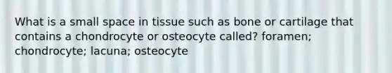 What is a small space in tissue such as bone or cartilage that contains a chondrocyte or osteocyte called? foramen; chondrocyte; lacuna; osteocyte