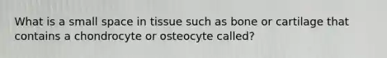 What is a small space in tissue such as bone or cartilage that contains a chondrocyte or osteocyte called?