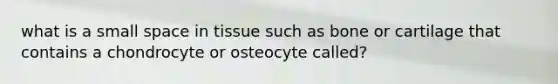 what is a small space in tissue such as bone or cartilage that contains a chondrocyte or osteocyte called?