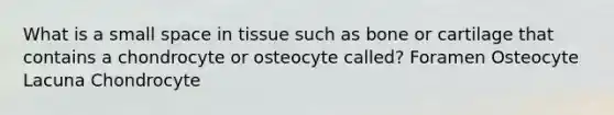 What is a small space in tissue such as bone or cartilage that contains a chondrocyte or osteocyte called? Foramen Osteocyte Lacuna Chondrocyte