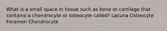 What is a small space in tissue such as bone or cartilage that contains a chondrocyte or osteocyte called? Lacuna Osteocyte Foramen Chondrocyte