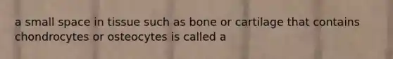 a small space in tissue such as bone or cartilage that contains chondrocytes or osteocytes is called a