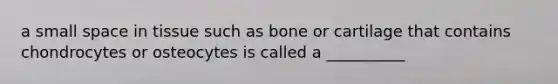 a small space in tissue such as bone or cartilage that contains chondrocytes or osteocytes is called a __________