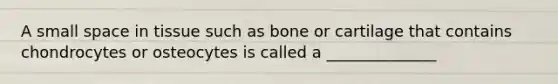 A small space in tissue such as bone or cartilage that contains chondrocytes or osteocytes is called a ______________