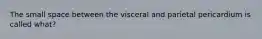 The small space between the visceral and parietal pericardium is called what?