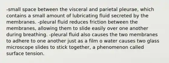 -small space between the visceral and parietal pleurae, which contains a small amount of lubricating fluid secreted by the membranes. -pleural fluid reduces friction between the membranes, allowing them to slide easily over one another during breathing. -pleural fluid also causes the two membranes to adhere to one another just as a film o water causes two glass microscope slides to stick together, a phenomenon called surface tension.