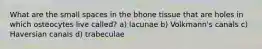 What are the small spaces in the bhone tissue that are holes in which osteocytes live called? a) lacunae b) Volkmann's canals c) Haversian canals d) trabeculae