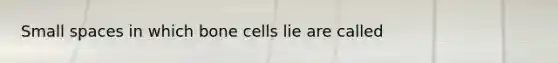 Small spaces in which bone cells lie are called