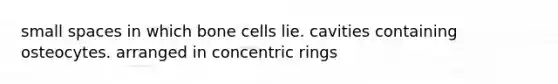 small spaces in which bone cells lie. cavities containing osteocytes. arranged in concentric rings