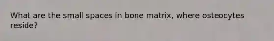 What are the small spaces in bone matrix, where osteocytes reside?