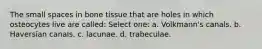 The small spaces in bone tissue that are holes in which osteocytes live are called: Select one: a. Volkmann's canals. b. Haversian canals. c. lacunae. d. trabeculae.