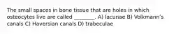 The small spaces in bone tissue that are holes in which osteocytes live are called ________. A) lacunae B) Volkmannʹs canals C) Haversian canals D) trabeculae