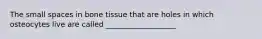 The small spaces in bone tissue that are holes in which osteocytes live are called ___________________