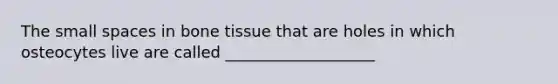 The small spaces in bone tissue that are holes in which osteocytes live are called ___________________