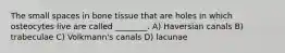 The small spaces in bone tissue that are holes in which osteocytes live are called ________. A) Haversian canals B) trabeculae C) Volkmann's canals D) lacunae