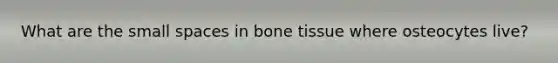 What are the small spaces in bone tissue where osteocytes live?