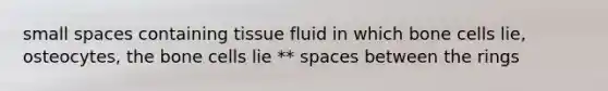 small spaces containing tissue fluid in which bone cells lie, osteocytes, the bone cells lie ** spaces between the rings