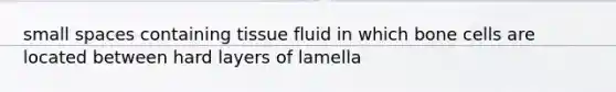 small spaces containing tissue fluid in which bone cells are located between hard layers of lamella