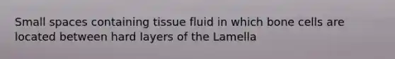 Small spaces containing tissue fluid in which bone cells are located between hard layers of the Lamella