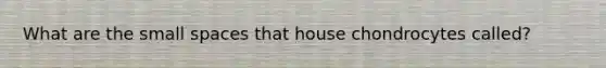 What are the small spaces that house chondrocytes called?