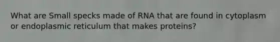 What are Small specks made of RNA that are found in cytoplasm or endoplasmic reticulum that makes proteins?