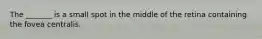 The _______ is a small spot in the middle of the retina containing the fovea centralis.