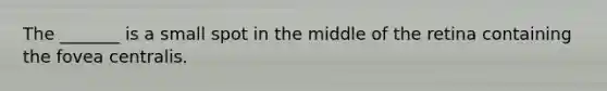 The _______ is a small spot in the middle of the retina containing the fovea centralis.